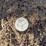 thumbnail (2).webp