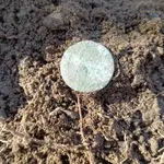 thumbnail (5).webp