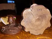 20190306_123815.webp
