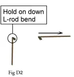 L-rods_fig-D2LG.webp