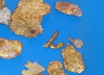 Placerised wire gold.webp