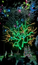 20221229_174703.webp