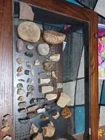 20230101_003631.webp
