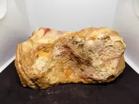 DSCN0167.webp