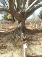 GJBF9830[1].webp