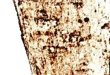 A Grant of  889 large bricks 3.webp