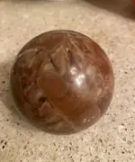 brown 2.jpg
