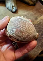 20230115_073722.webp