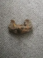 IMG_20230117_143857.webp