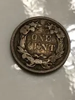 coin.webp