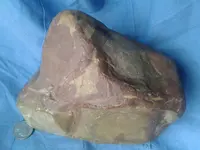 20230119_125833.webp