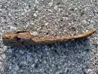 1661700481287[1].webp