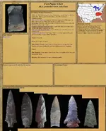 D49B1711-2FE9-45EF-9D29-2F516E9B497D.webp