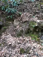 IMG_20230215_154327500.webp