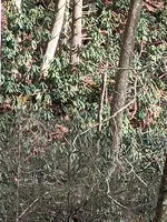 IMG_20230215_154215587.webp