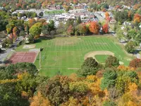 foliage from the tower 015.webp
