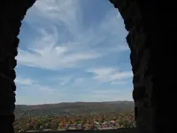 foliage from the tower 026.webp