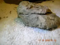 DSCN1135.webp