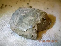 DSCN1136.webp
