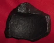 Inside of shell frag from Resaca after coating 9-26-08 edited.webp