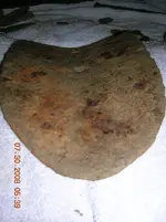 DSCN1147.webp