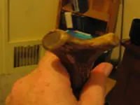 knife 004.webp