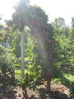 IMG_3477.webp