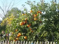 IMG_3519.webp
