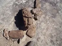 CrossbowsiteA041.webp