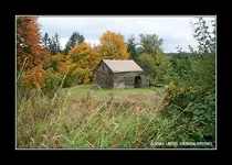 barn.webp
