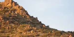 rattlesnakehill1.webp