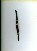 Image.webp