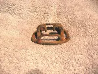 buckle 013.webp