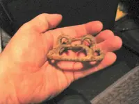 buckle 006.webp
