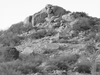 rocklookslikeabird 480x360.webp