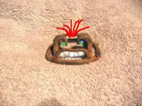 cross buckle.cross eyed.webp