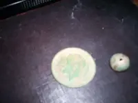 button 003 (600 x 450).webp