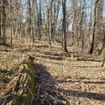 20230220_134845.webp