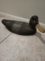 20230221_232339.webp