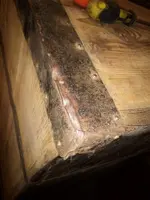 IMG_20230217_210311.webp