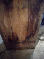16771283461694844557908391828381.webp