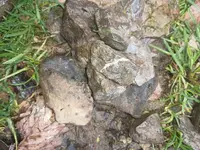 IMG_20230225_091333793.jpg