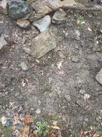IMG_20230225_091212999.jpg