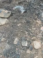 IMG_20230225_091058264.jpg
