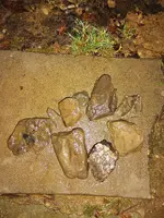 IMG_20230228_021923129.webp