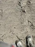 IMG_5064.webp