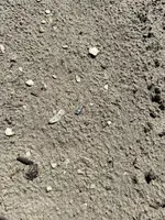 IMG_5065.webp