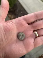 Civil War Button - 1.webp