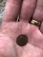 shield nickel.webp