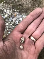 civil war bullets.jpg